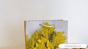 Подарочный пакет СОЛНЕЧНЫЙ БУКЕТ, бумага, 25х20 см, XAE22000071-1