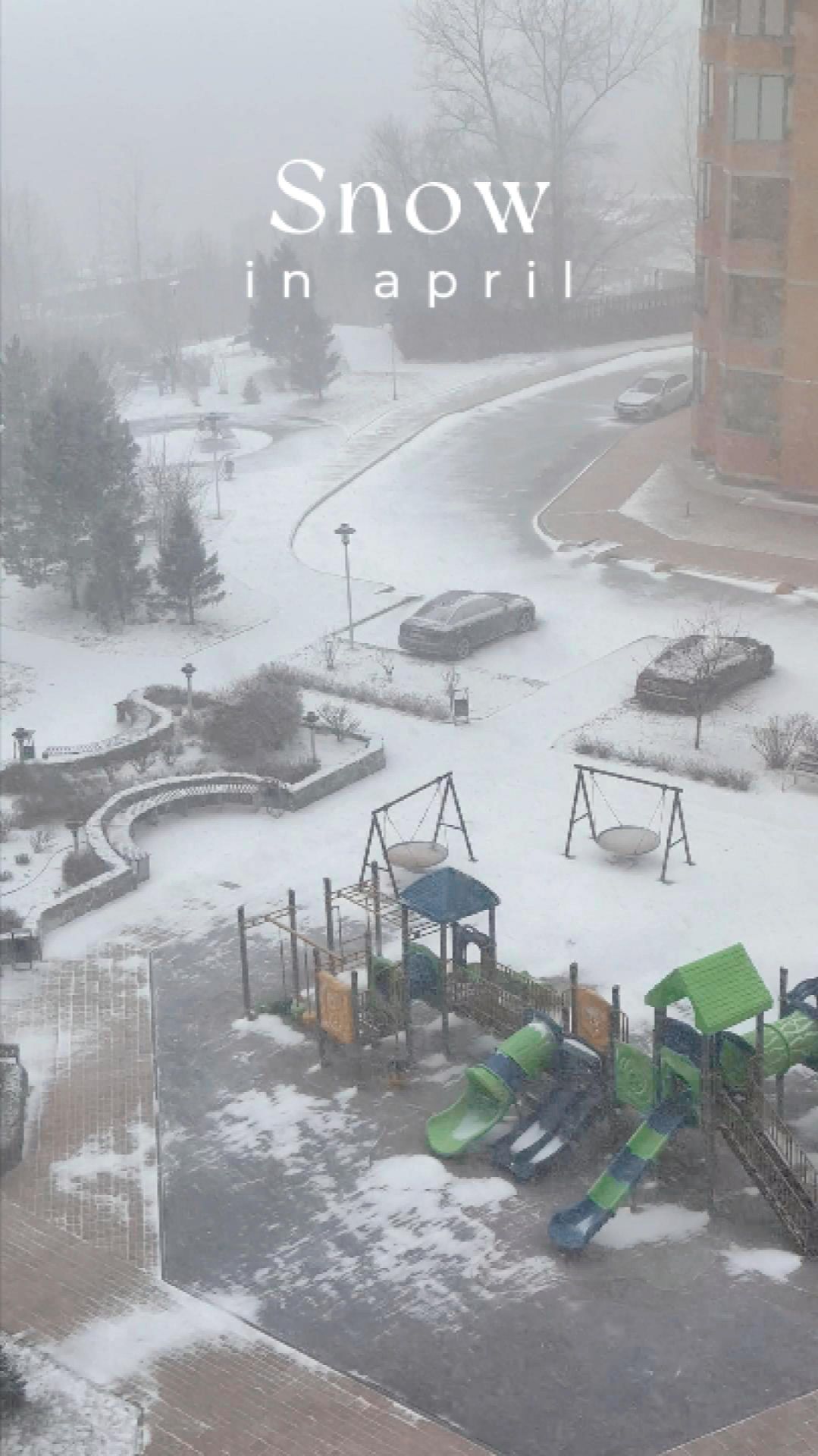 ❄️Внезапный снегопад в Апреле - Весна в Новосибирске ❄️