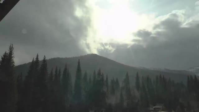 ОХОТА НА МАРАЛА В СЕРДЦЕ АЛТАЙСКОЙ ТАЙГИ