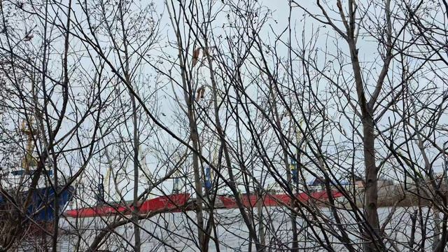 На берегу реки у базы тралового флота