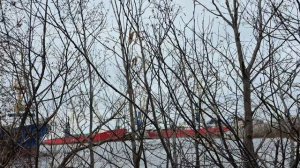 На берегу реки у базы тралового флота