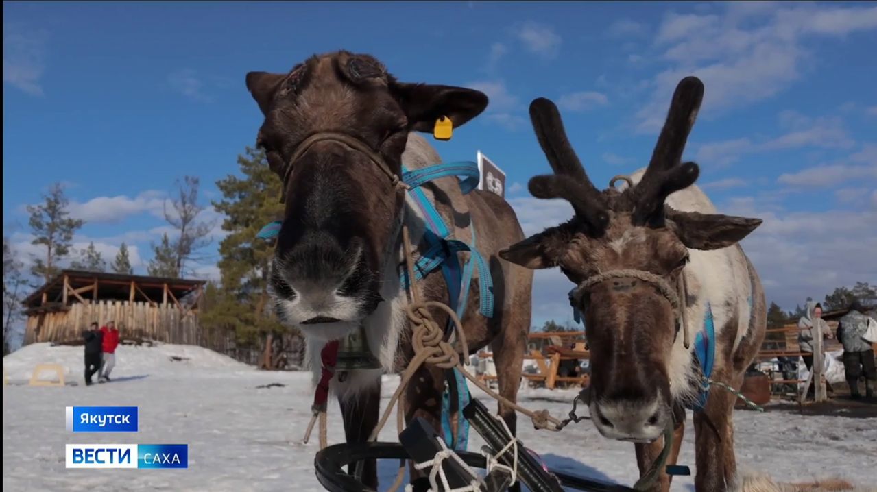 11:30 ВЕСТИ САХА 23/04/26 НА РУССКОМ ЯЗЫКЕ