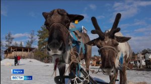 11:30 ВЕСТИ САХА 23/04/26 НА РУССКОМ ЯЗЫКЕ