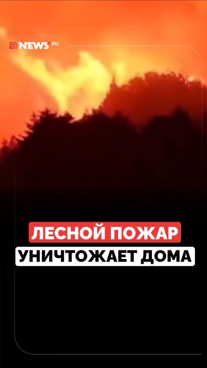 Мощный лесной пожар уничтожил жилые дома в Японии