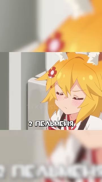 сенко 2 пельменя