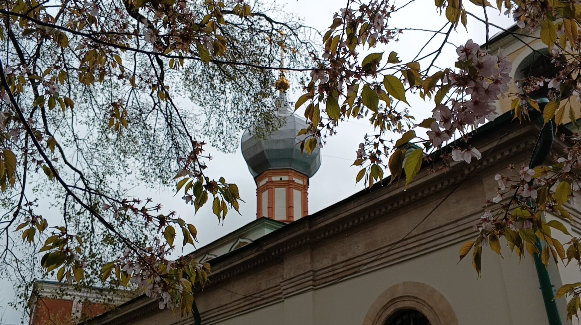 Прогулки по Москве. Как я пошла сакуру искать а нашла храм с удивительной историей. Храм Власия.