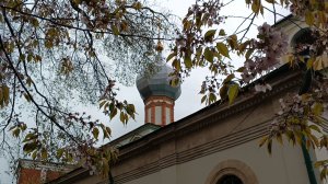 Прогулки по Москве. Как я пошла сакуру искать, а нашла храм с удивительной историей. Храм Власия.