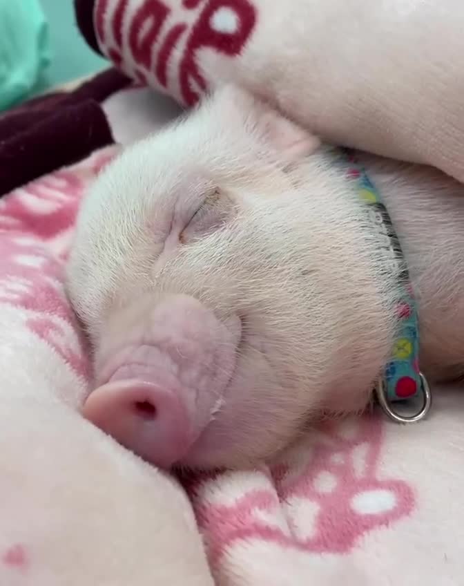 Доброе утро