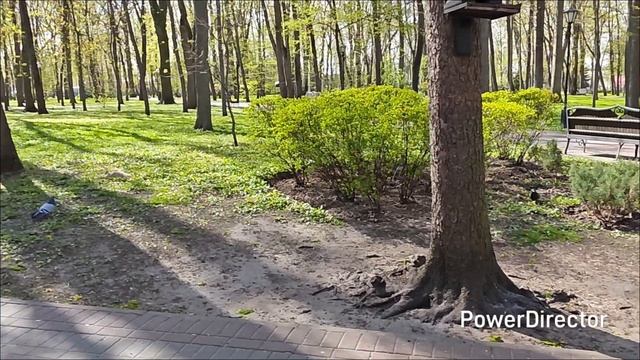 обзор квартиры в Минске и Гомеле #влог#путешествие#беларусь