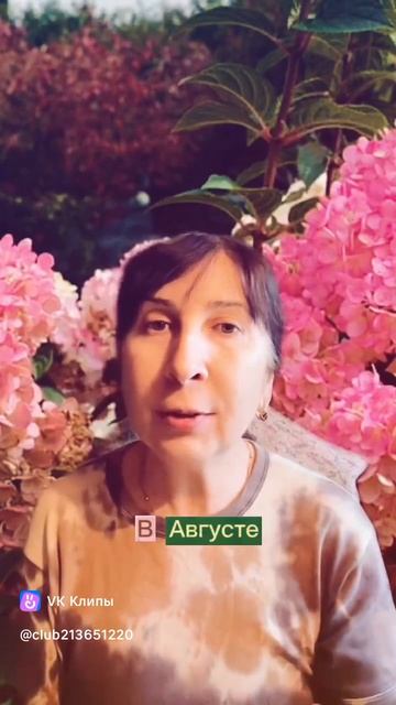 Как мороженое