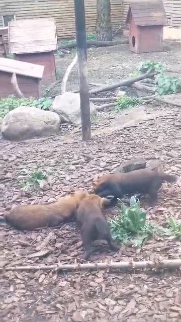 наш класс в столовке