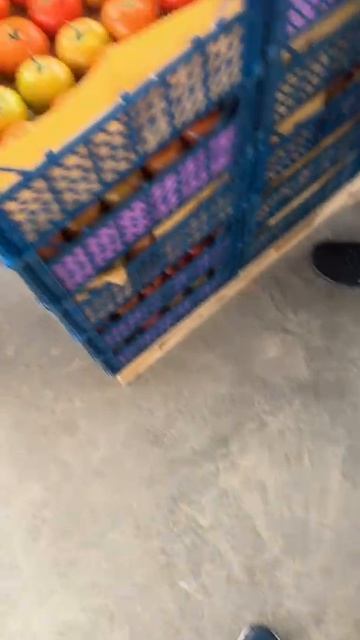 Томаты из Ирана