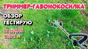 Тест ТРИММЕРА-ГАЗОНОКОСИЛКИ: честный обзор, плюсы и минусы. Уход за земляникой весной.