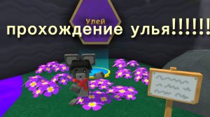 прохожу улей на новом аккаунте