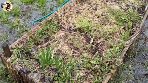 Где ж тепло?