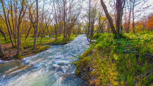 Упавший лист. (стих в прозе).
