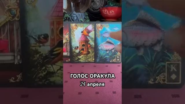 24 апреля голос оракула