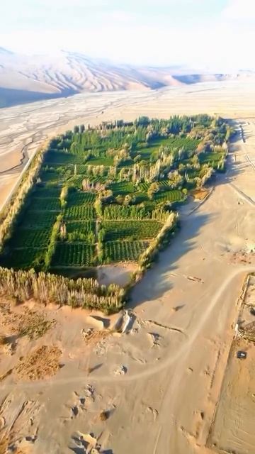 MOV_20260424_134909_453.mp4