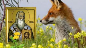 27 апреля день Мартина. Это хороший день для начала самостоятельной жизни.