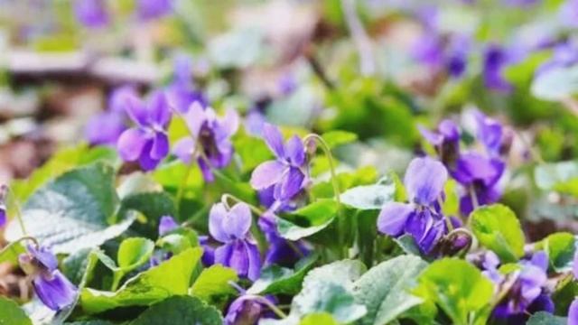 Мой новый фильм 