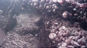 1000015987.mp4Волга гл.2м.24.04.2026г.