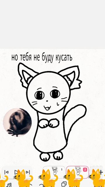 Кот?¿? ¿ 🐱🐈