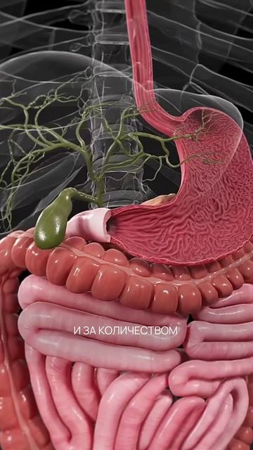  Как помочь себе если у вас запор