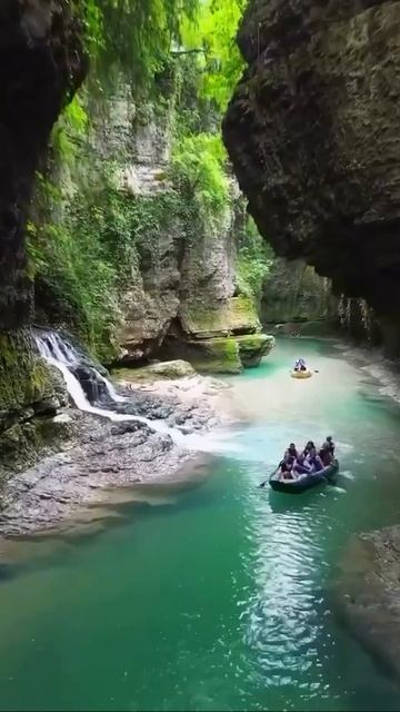 MOV_20260424_135015_620.mp4