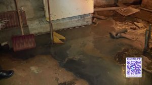Лужи из нечистот и запах: на подтопления в подвале жалуются жители многоквартирного дома в Вологде