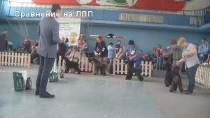 Монопородная выставка керри-блю-терьеров в Новосибирске 20 мая 2017 года.