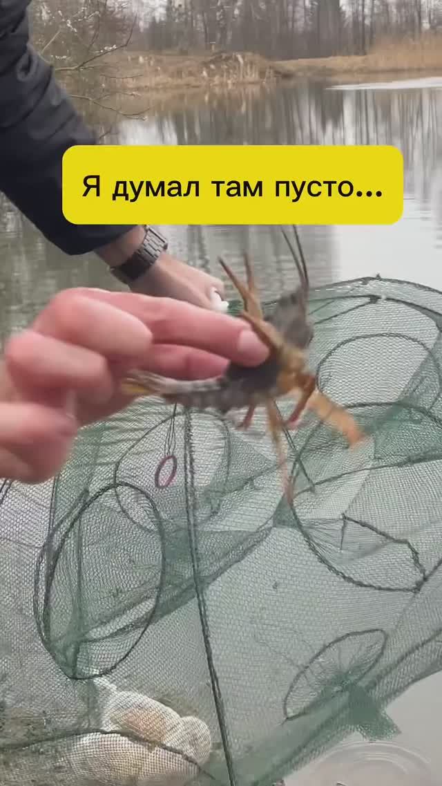 Проверяю раколовку в проверенном месте...