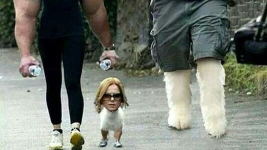 СМЕШНОЕ РАЗОБЛАЧЕНИЕ ФОКУСОВ!