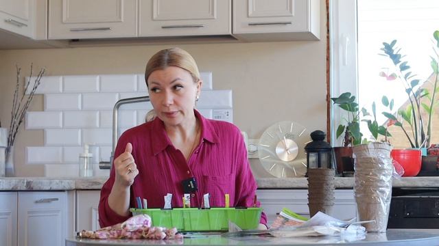 МИНИ ПАРНИК на кухне 😨