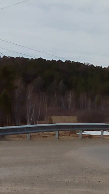 Зеленый холм