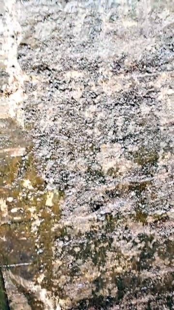 Канал имени Москвы