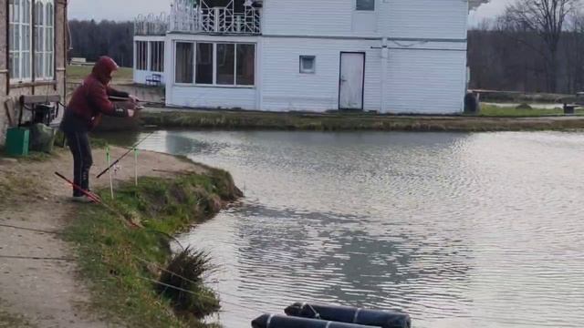 поимка форели на фидер