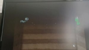 выживание начало.mp4