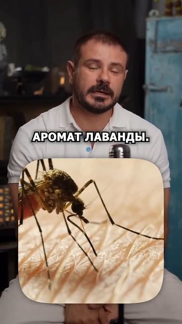 Как избавится с простыми способами от насекомых в доме #здоровье #организм #насекомые #лайфхак → 👤