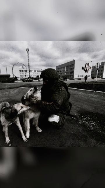 93dea8e796924a75b137802905aac3cc