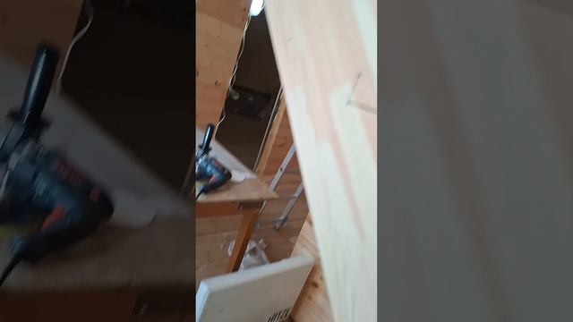 1000056883.mp4 (Собака наблюдает за устройством лестницы на 2-ой этаж в доме А-фрейм)