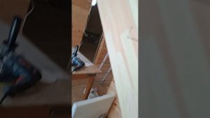 1000056883.mp4 (Собака наблюдает за устройством лестницы на 2-ой этаж в доме А-фрейм)