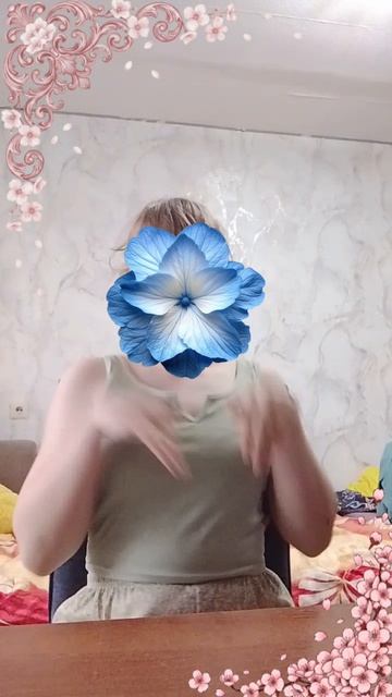 учила от Stray