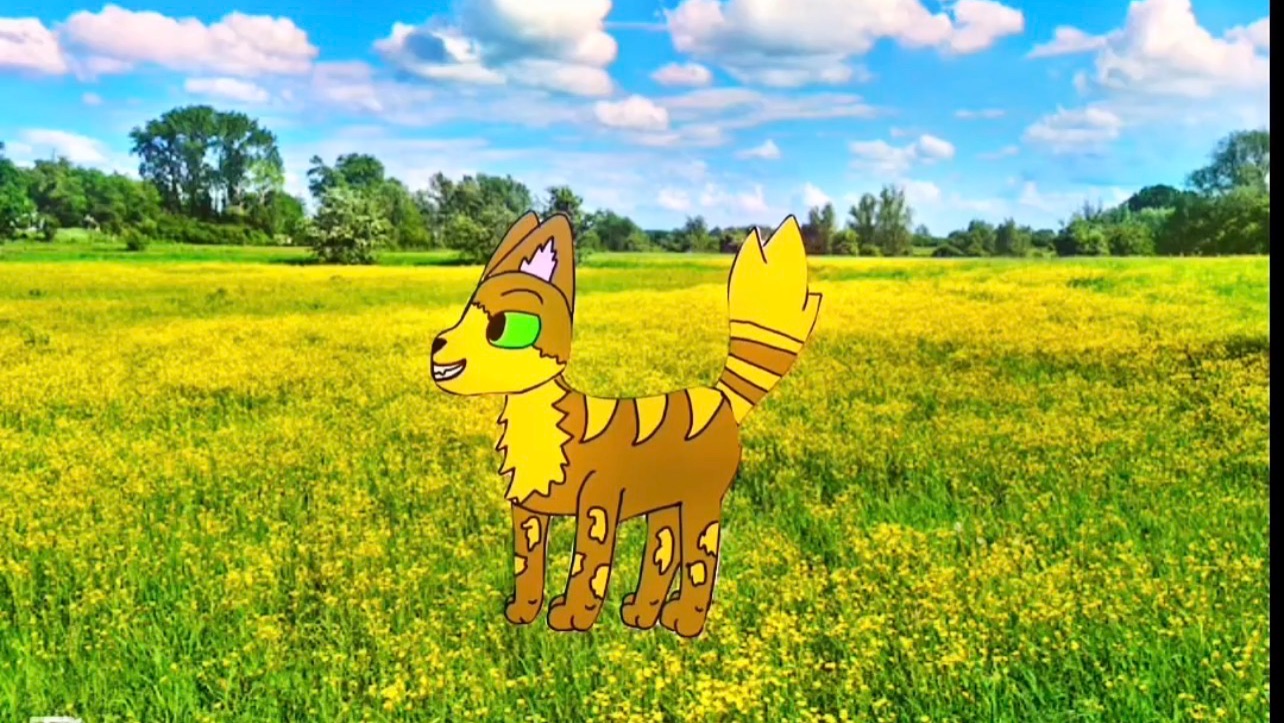 просто анимация || Коты- Воители