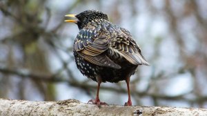 ДВИЖЕНИЕ  ЭТО  ЖИЗНЬ