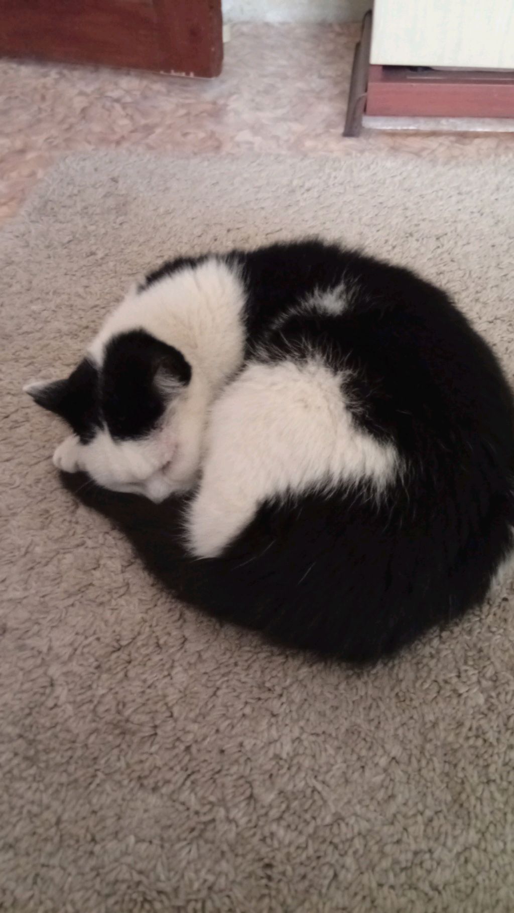 ИГРАЕМ В ВАРТАНДЕР МОБАИЛ!!