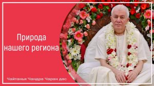 Природа нашего региона
