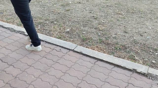 2.  Прогулка. Биробиджан. Продолжение. 24.04.2026