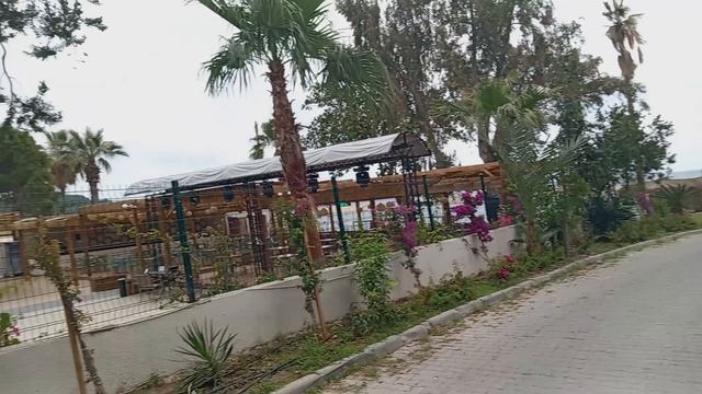 Турция 🇹🇷 2024 Отель Юстиниано Клуб парк конти 5