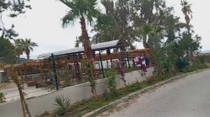 Турция 🇹🇷 2024 Отель Юстиниано Клуб парк конти 5