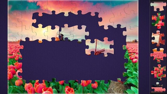Собираем пазлы. Чарующая Природа - Ферма Тюльпанов